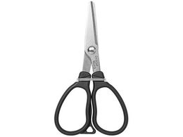 ꐸH l MCVU[Y 25 #ubN