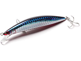 WN\ AX[gvX105FVG SRI AJnCV