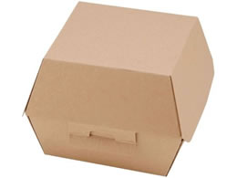 �V���W�} NF�l�I�N���t�g �o�[�K�[BOX S 20�� 4248314