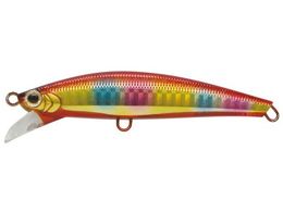 WN\ se[TSV`[ 20g #NSG iMTSVS[h