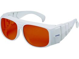 OTOS [U[pی상Kl I[o[OX YAGp L-702YG2