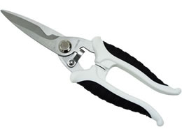 ���ŃM���l �ƒ�p���\�͂��� 1523