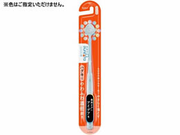 KAO sI[36500 nuV ӂZ 炩