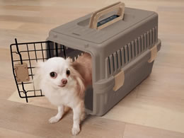 アイリスオーヤマ エアトラベルキャリー 超小型犬 猫用 ブラウン Atc 460 Forestway 通販フォレストウェイ