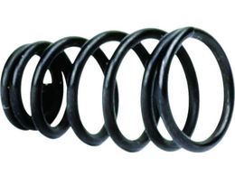 �~���i�K �o�C���^���z�[���\�[ �[�d���n �X�v�����O BITSP