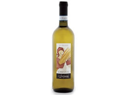 AvEg[fBO CEXet@j[j CEZ[[ 750ml