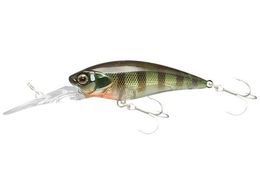 WbJ JK fB[rVbh 55MR #M