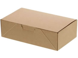 �V���W�} NF�l�I�N���t�g �R���p�N�gBOX M 20�� 4248301