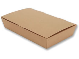 �V���W�} NF�l�I�N���t�g �X�i�b�NBOX L 20�� 4248322