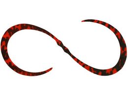 WbJ JK rrT+lN^CJ[[ #F187