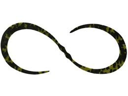 WbJ JK rrT+lN^CJ[[ #F193