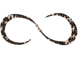 WbJ JK rrT+lN^CJ[[ #F211