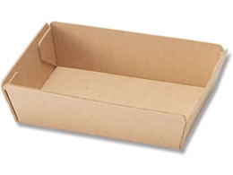 �V���W�} NF�l�I�N���t�g �g���[ SS 100�� 4248330