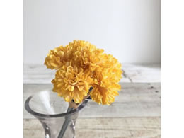 AXJ ||}oh(16{) S[hCG[ 72-34240-40Y