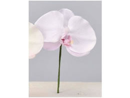 AXJ R`EsbN(L) Cgx_[ 72-34238-16