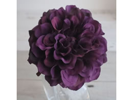 AXJ _AsbN #007D _-Np-v 72-31451-207