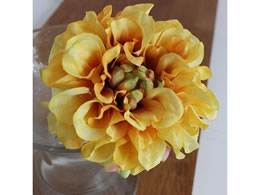 AXJ _AsbN CG[ 72-31451-10