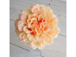 AXJ _AsbN s[` 72-31451-4