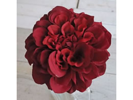 AXJ _AsbN bh 72-31451-2