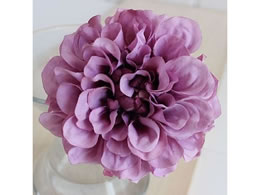 AXJ _AsbN x_[ 72-31451-6