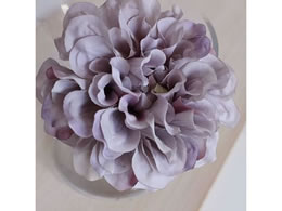 AXJ _AsbN x_[N[ 72-31451-106