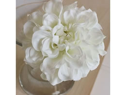 AXJ _AsbN zCg 72-31451-1