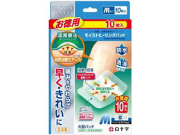 \ FC CXgq[Opbhp M 10yǗË@z