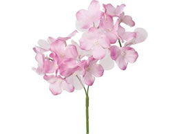 YDM I[KW[AWTC~2 sN FS-8364P