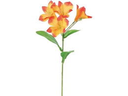 YDM AXgA IW FF-3061OR