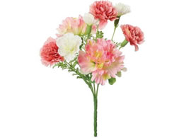 YDM J[l[V~bNXubV N[sN