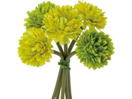 YDM {[}o` O[ FB-2471-GR