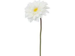 YDM K[x zCg FA-7158-W