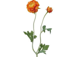 YDM tbtB[iLX IW FA7056-OR