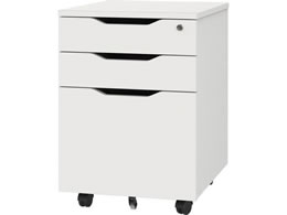 A[EGtE}J v CTChS zCg RFPCA-WH