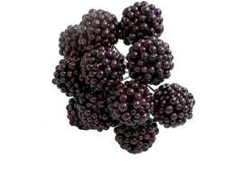 H| E6706 16mm Yx[ TT^bh^157-6706-33