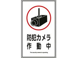 Ώ\ CXgXebJ[W hƃJ쓮  10g