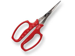 AXR[|[V ԂǂE Ȑn ܓ 321DX-M