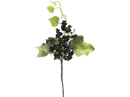 H| Z0063 ChO[vx #020 ubN