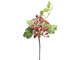 H| Z0063 ChO[vx #002 sN