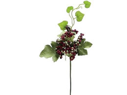 H| Z0063 ChO[vx #011 x_[