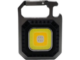  LEDc[Cg SK-TL450CHSL