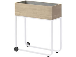 Cg[L tEEW vg{bNX X^_[h XeXg[ȂWH