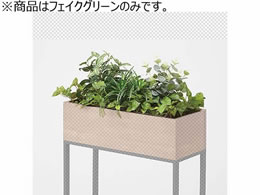 Cg[L tEEW vg{bNXIvV tFCNO[ {bNXp