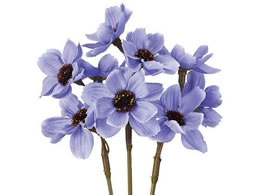  RXXsbN #11 BL LV u[x_[ FM004215-011