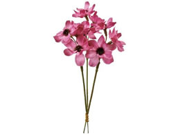  RXXsbN 3{ I[Lbh #12 ORCHID FM004215-012