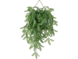 sf tFCNO[ ~U nMO 41125