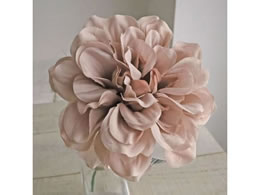  vC_AsbN #142 ANT.MV FM000414[142