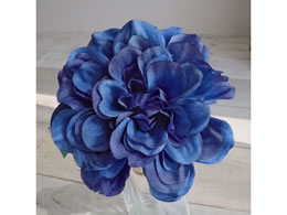  vC_AsbN #10 BLUE FM000414-010