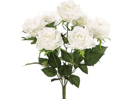  O[X[YubV WHITE FM001275-001