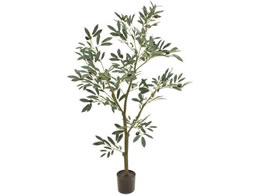  I[uc[|bg4F O[ FG003920